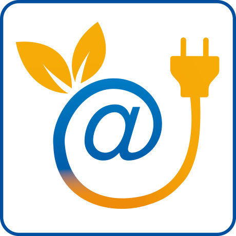 Online Strom Icon 2-farbig